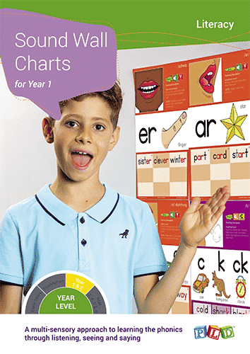 Sound Wall Charts for Year 1