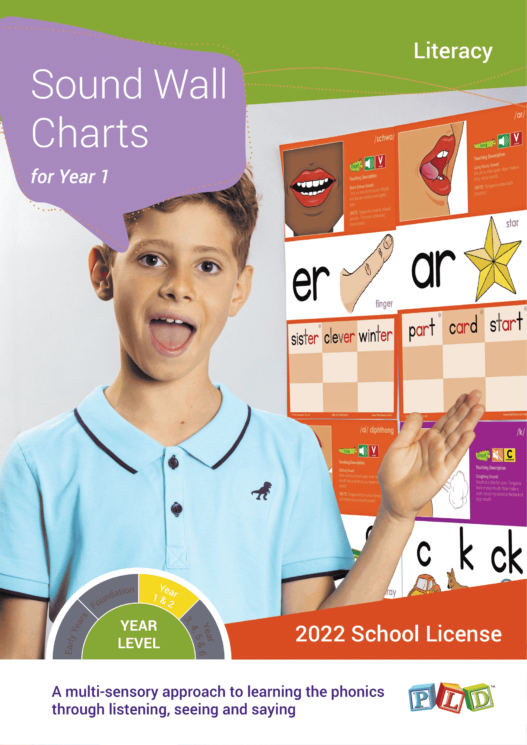 Sound Wall Charts for Year 1 (Subscription)